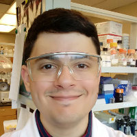 Nathan O'Neil