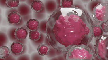 illustration of stem cells