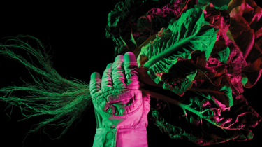 Astronaut glove holding food crops while illuminated by grow lights