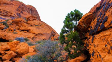 Red rock in Utah, USA